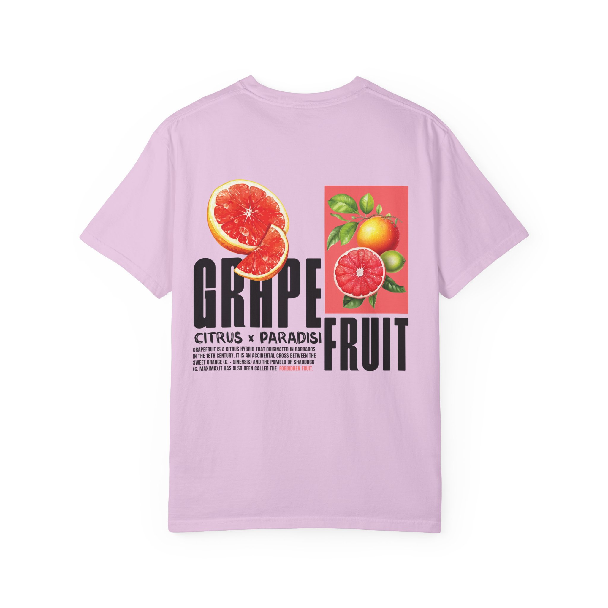 Barbados Citrus Paradise Unisex T-shirt - Image 20